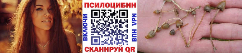 купить   omg зеркало  Галлюциногенные грибы Psilocybine cubensis  Орехово-Зуево 